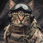 Desense - steam id 76561199581586964