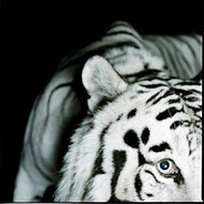 AHMAD_MUSLIM999 avatar