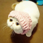self is an illusion (〜￣▽