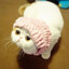 self is an illusion (〜￣▽
