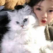 爱情公寓第一突破手展