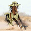 Whole Horse