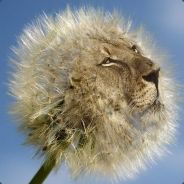 一个能打的都没有