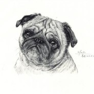 演员王二麻子·