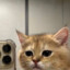 GoodBuddy(Muted)