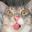 Jmann avatar