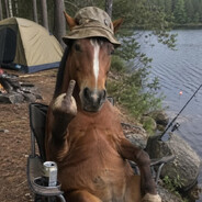 HorsePower