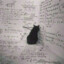 meow meow