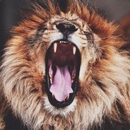 المفترسة النمر