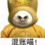 丢你竹鼠