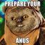 PREPARE YOUR ANUS