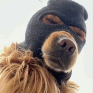 乌龟的黑头，变老的大二