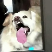 ДЕРЖУ В КУРСЕ - БЬЮ ЕБАЛО