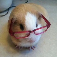 没有杀过一只鸡一只鸭