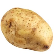 用了泡泡扛住所有而我只是你的朋友