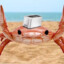 Toaster_crab