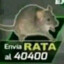 RATA 40400