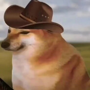 泪水打湿麦当劳