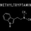 Dimethyltryptamine