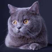 我与赌毒不共戴天