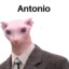 Antonio