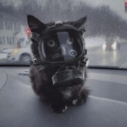 Denchik ツ - steam id 76561199735849381