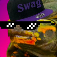 Mr. TurtleDank