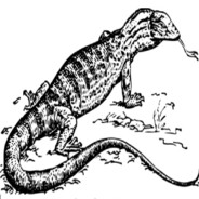 Caramello Goanna