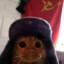 COMMUNIST CAT