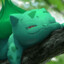 BuLba