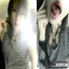 smokin&#039;sexy;)