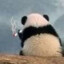 泽含