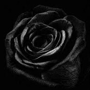 Y U Z O   H I K A R U