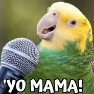 yo mama