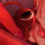 ```