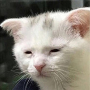 Śmiercionośna marakuja