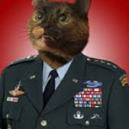 Sgt. Whiskers