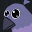 PIGEON