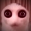 The Creature