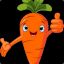 [BIO]carotte