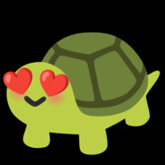 TURTLE MAN