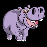 Hippo