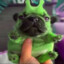 xXZlorpGamingXx