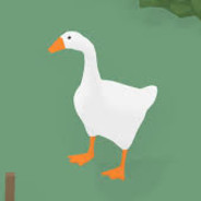 GOOSE5000