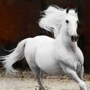 的卢.刘备见了都说好马