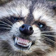 I have rabies - steam id 76561197965683928
