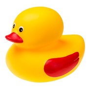 SuckMyDuck21376969