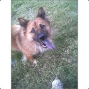 DirtyDog - steam id 76561197961865653