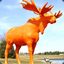 OrangeMoose