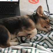 я позичив свій акк